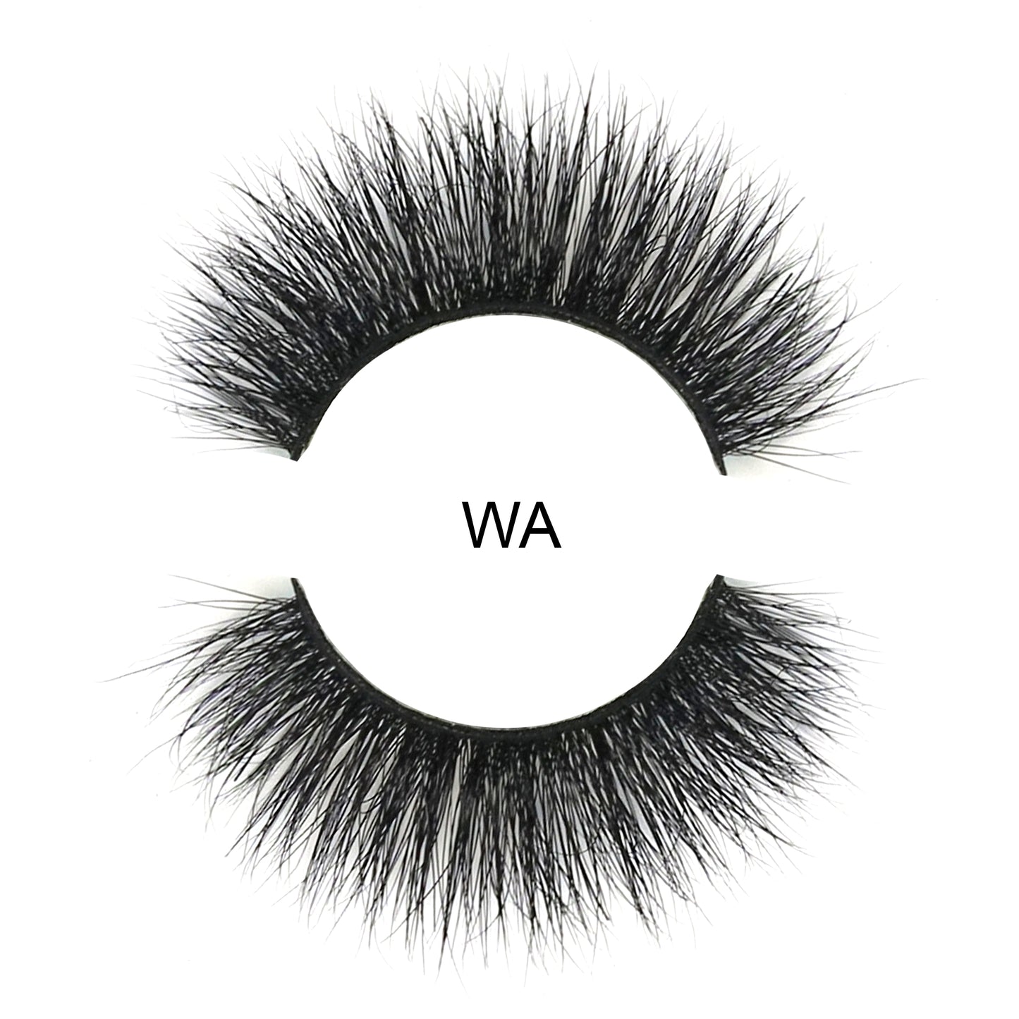 WA | Volume Mink