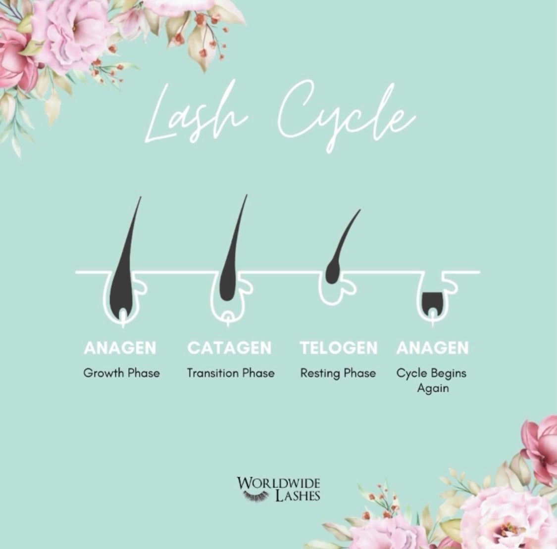 Luxe Classic Eyelash Extensions